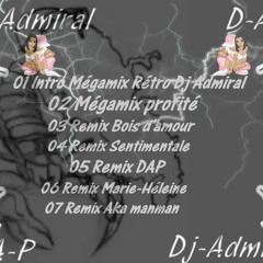 03 Remix Bois D'amour
