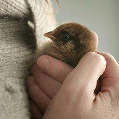 Advanced Call Manager For Nokia E63 Free Download Full Version