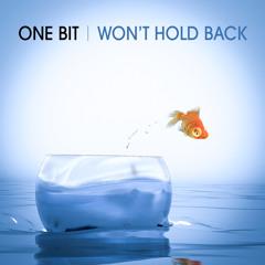 One Bit - Won't Hold Back [DISKORD Remix] (free dl!)