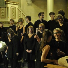 Midnight City performed by Malmö indiekör