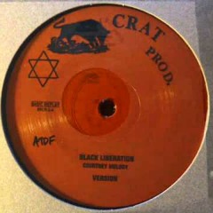 Courtney Melody - Black Liberation   Version - 12inch  Crat Prod.
