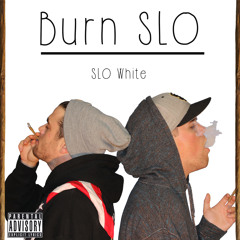 Burn SLO