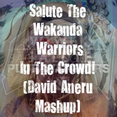 Salute The Wakanda Warriors In The Crowd (David Aneru Mashup)