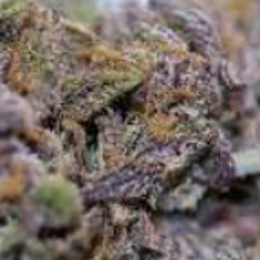 Cuttin Up Freestyle stumparichi Lil Tex nd Big Rob