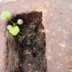 기적이 뭐 별거 있나_New