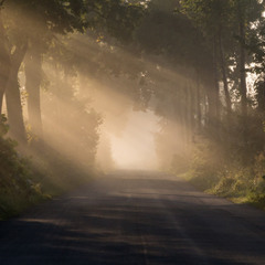 Contrasting Breath Length