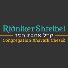 Maaser Kesafim – Rabbi Daniel Stein