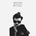 Mating&#x20;Ritual Moonlight Artwork
