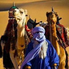 Tuareg music
