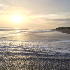 Gone, gone, gone (Cover)