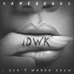 I Don't Wanna Know ft. BJ the Chicago Kid