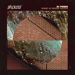 DJ Pierre - What Is House Muzik (Ricardo Villalobos Remix) If 6 was 9 edit
