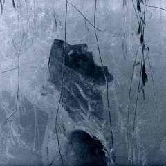 Nefertiti (W. Shorter)feat. Giacomo Marzi