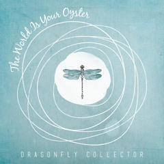 The Saddest Sound - Dragonfly Collector
