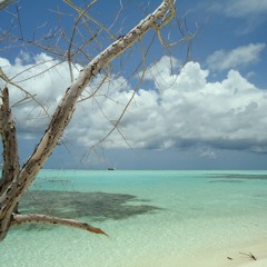 Call 09 - 07 - 42 IN