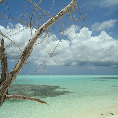 Call 09 - 07 - 42 IN