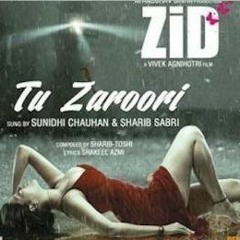 TU ZARURI HE (ZID) - DEEJAY ''D'' (DEMO)