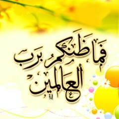 بكاء الشيخ احمد كريمة ضاع إسلامنا سمعته ومكانته