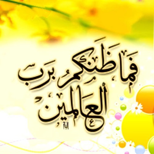 بكاء الشيخ احمد كريمة ضاع إسلامنا سمعته ومكانته