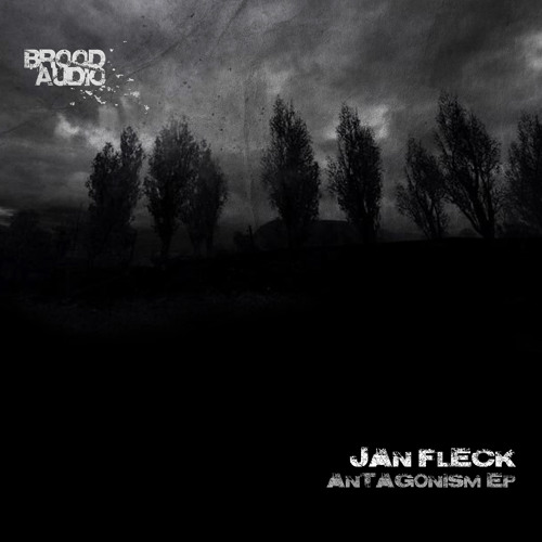 Jan Fleck - What have we done (Brood074)