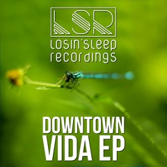 Downtonw - Vida (Original Mix)