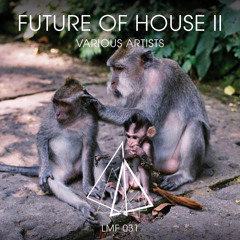 LMF031 – Future of House II