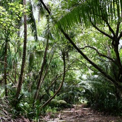 Hand made series vol 26 : Lust in the jongle