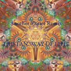 Killerwatts - Another Planet (Tristan Remix)