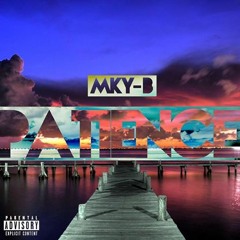 6.(Patience E.P) - Feel Good inc. (Remix)