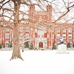 LavaLuxe - Snow Day In E Minor