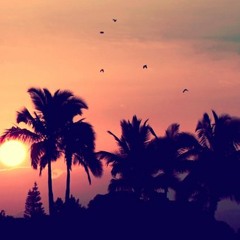 Summer - Clavin harris (Sebastian Gaspari Remix)