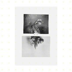 Drvg Cvltvre - My Neck Of The Woods