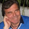 Il Manichino