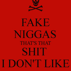 FAKE ASS NIGGAS