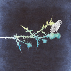 Straight As An Arrow