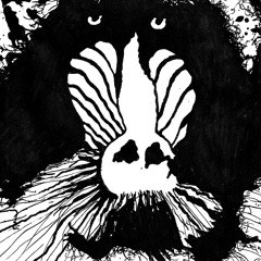 Feral Ohms "Super Ape"