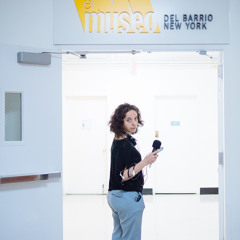 Common Elements: The Heart of El Museo, 2014