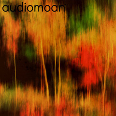 A Slow Fire - Feat. Audiomoan