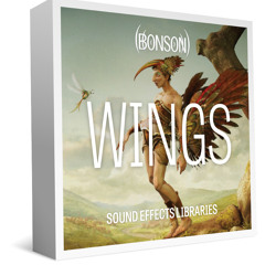 Wings | Demo