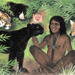 Carlos - Conexion en la selva