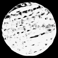 Anenon - Sagrada (Gossamer Edit)