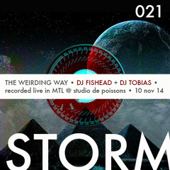 ION STORM (021): THE WEIRDING WAY (dj fishead + dj tobias)