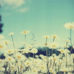 Дельфин-Весна (Delfin-Vesna (Spring) (2004)
