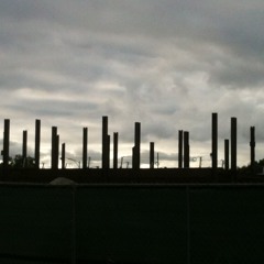 Rayaline -  Desolation of the synthetic