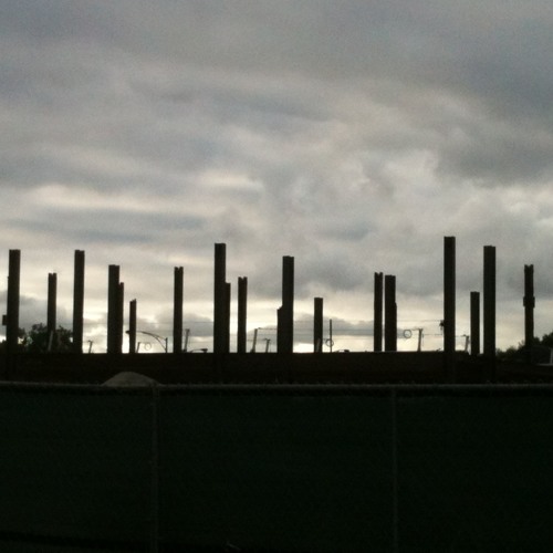 Rayaline -  Desolation of the synthetic