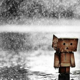 سرور الروقي .. نجل المثتى