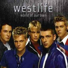 What I Want Is What I've Got - Westlife (cover)