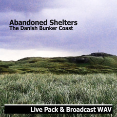 Danish Bunker Coast Demo Track 1 (96k Version)