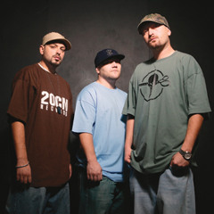 Parazitii-Filmul lui Liviu