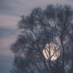 "Anxiety" Ft. Deryk (Prod. By Johnny Globe)